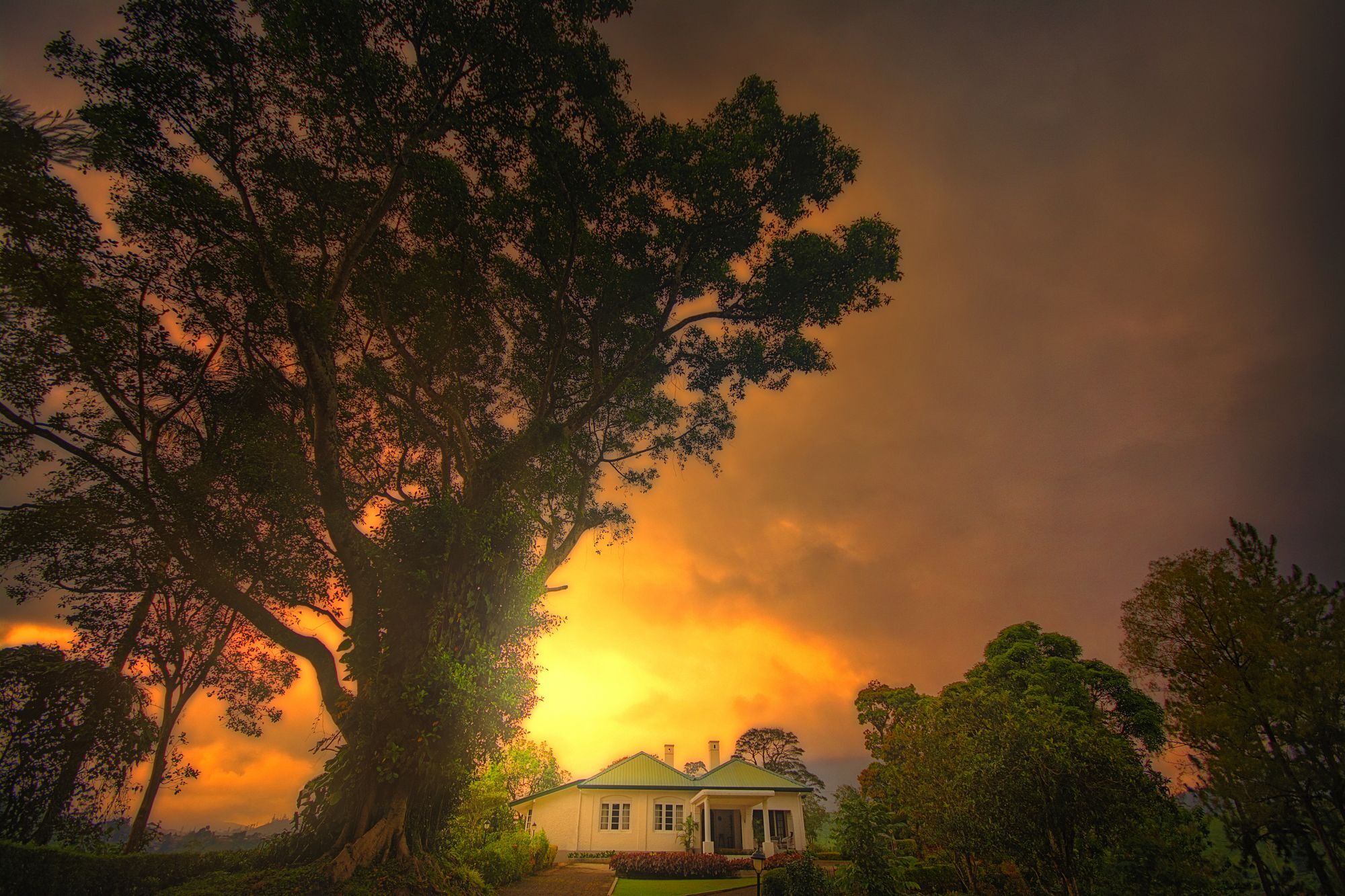 Craig Appin Bungalow Dickoya Экстерьер фото